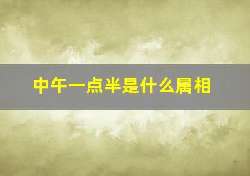 中午一点半是什么属相