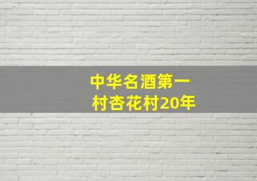 中华名酒第一村杏花村20年