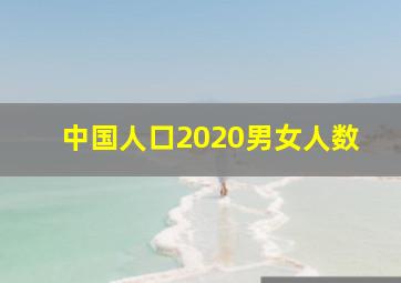 中国人口2020男女人数