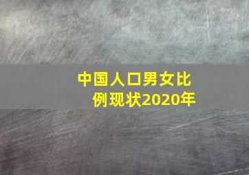 中国人口男女比例现状2020年