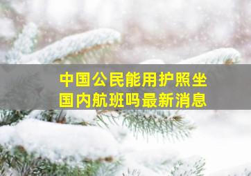 中国公民能用护照坐国内航班吗最新消息