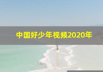 中国好少年视频2020年