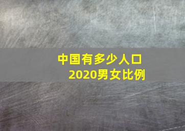 中国有多少人口2020男女比例