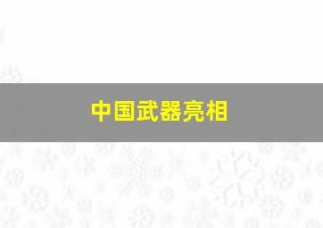 中国武器亮相