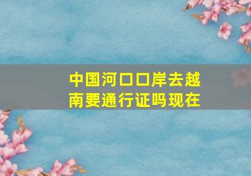 中国河口口岸去越南要通行证吗现在