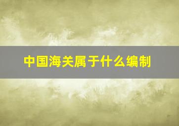 中国海关属于什么编制