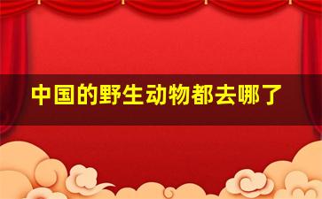 中国的野生动物都去哪了