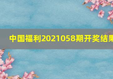 中国福利2021058期开奖结果