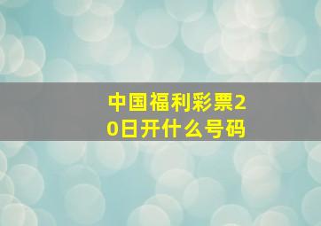 中国福利彩票20日开什么号码