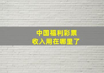 中国福利彩票收入用在哪里了