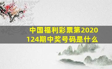 中国福利彩票第2020124期中奖号码是什么