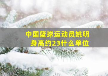 中国篮球运动员姚明身高约23什么单位