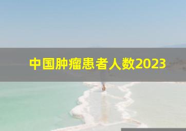 中国肿瘤患者人数2023