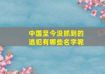 中国至今没抓到的逃犯有哪些名字呢