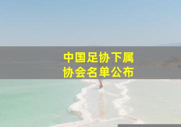 中国足协下属协会名单公布