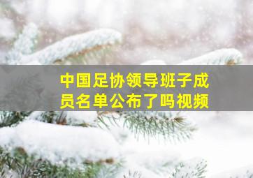 中国足协领导班子成员名单公布了吗视频