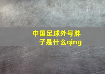 中国足球外号胖子是什么qing