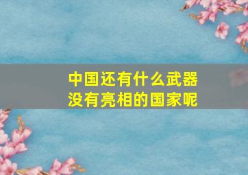 中国还有什么武器没有亮相的国家呢