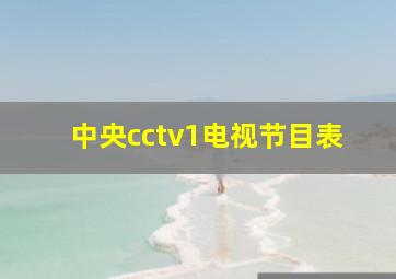 中央cctv1电视节目表