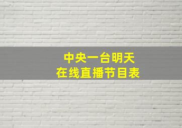 中央一台明天在线直播节目表