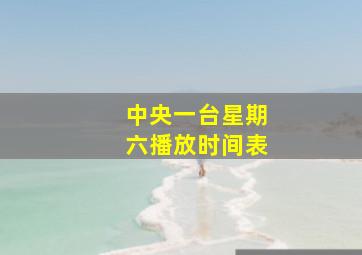 中央一台星期六播放时间表