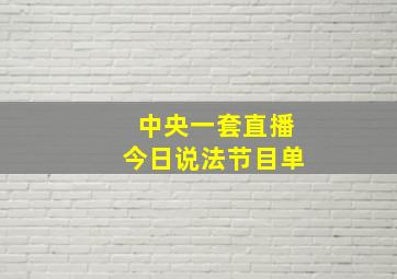 中央一套直播今日说法节目单