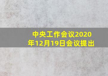 中央工作会议2020年12月19日会议提出