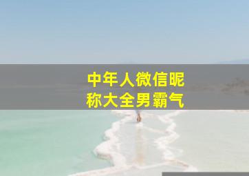 中年人微信昵称大全男霸气