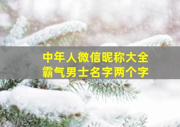 中年人微信昵称大全霸气男士名字两个字