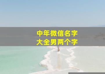 中年微信名字大全男两个字