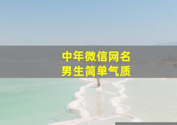 中年微信网名男生简单气质