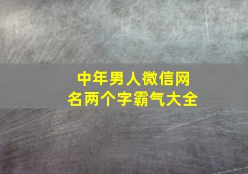 中年男人微信网名两个字霸气大全