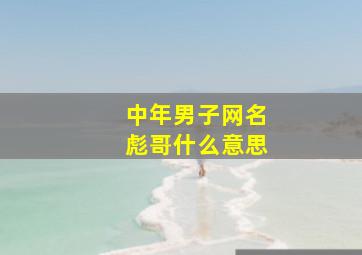 中年男子网名彪哥什么意思