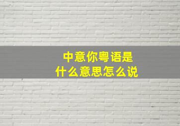 中意你粤语是什么意思怎么说