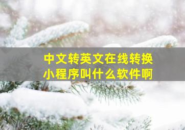 中文转英文在线转换小程序叫什么软件啊