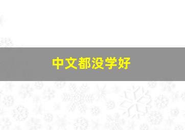 中文都没学好