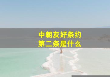 中朝友好条约第二条是什么