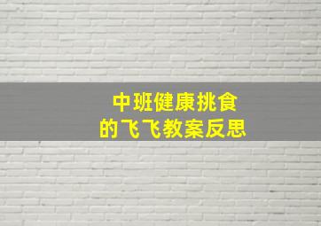 中班健康挑食的飞飞教案反思