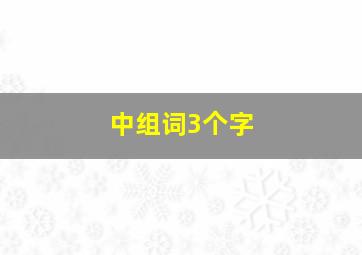 中组词3个字