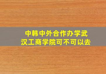 中韩中外合作办学武汉工商学院可不可以去