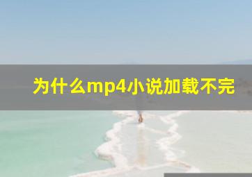 为什么mp4小说加载不完