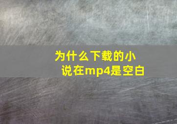 为什么下载的小说在mp4是空白