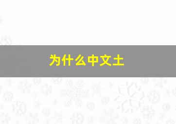 为什么中文土