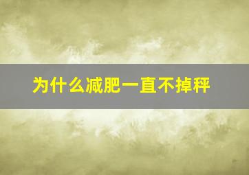 为什么减肥一直不掉秤