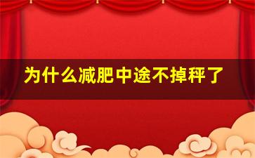 为什么减肥中途不掉秤了