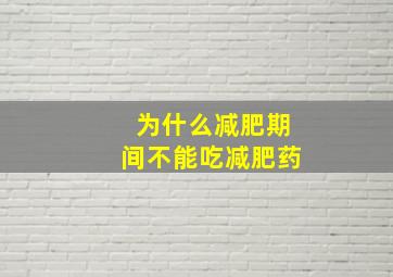 为什么减肥期间不能吃减肥药