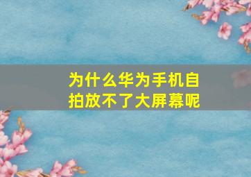 为什么华为手机自拍放不了大屏幕呢