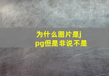 为什么图片是jpg但是非说不是