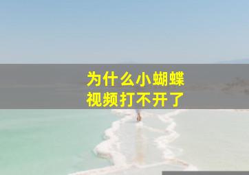 为什么小蝴蝶视频打不开了