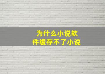 为什么小说软件缓存不了小说